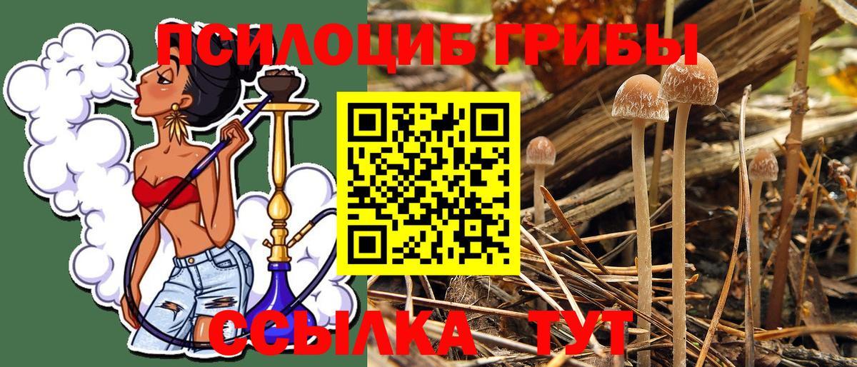 Лабинск  Псилоцибиновые грибы GOLDEN TEACHER  Галлюциногенные грибы GOLDEN TEACHER  Вход с VPN 